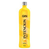 GIN INTENCION 900ML TROPICAL - FD COM 6 UN