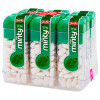 MINI MINTY DOCILE 14GR HORTELÃ - DP COM 12 UN