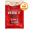 WHEY 100% PURE INTEGRALMEDICA SACHÊ 30GR GELATO DI LATE - DP COM 10 SC