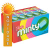 PASTILHA MINTY DOCILE 17GR FRUIT - DP COM 20 UN