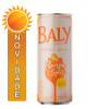 ENERGÉTICO BALY LATA 250ML FLORIPA SPRITZ - FD COM 6 UN